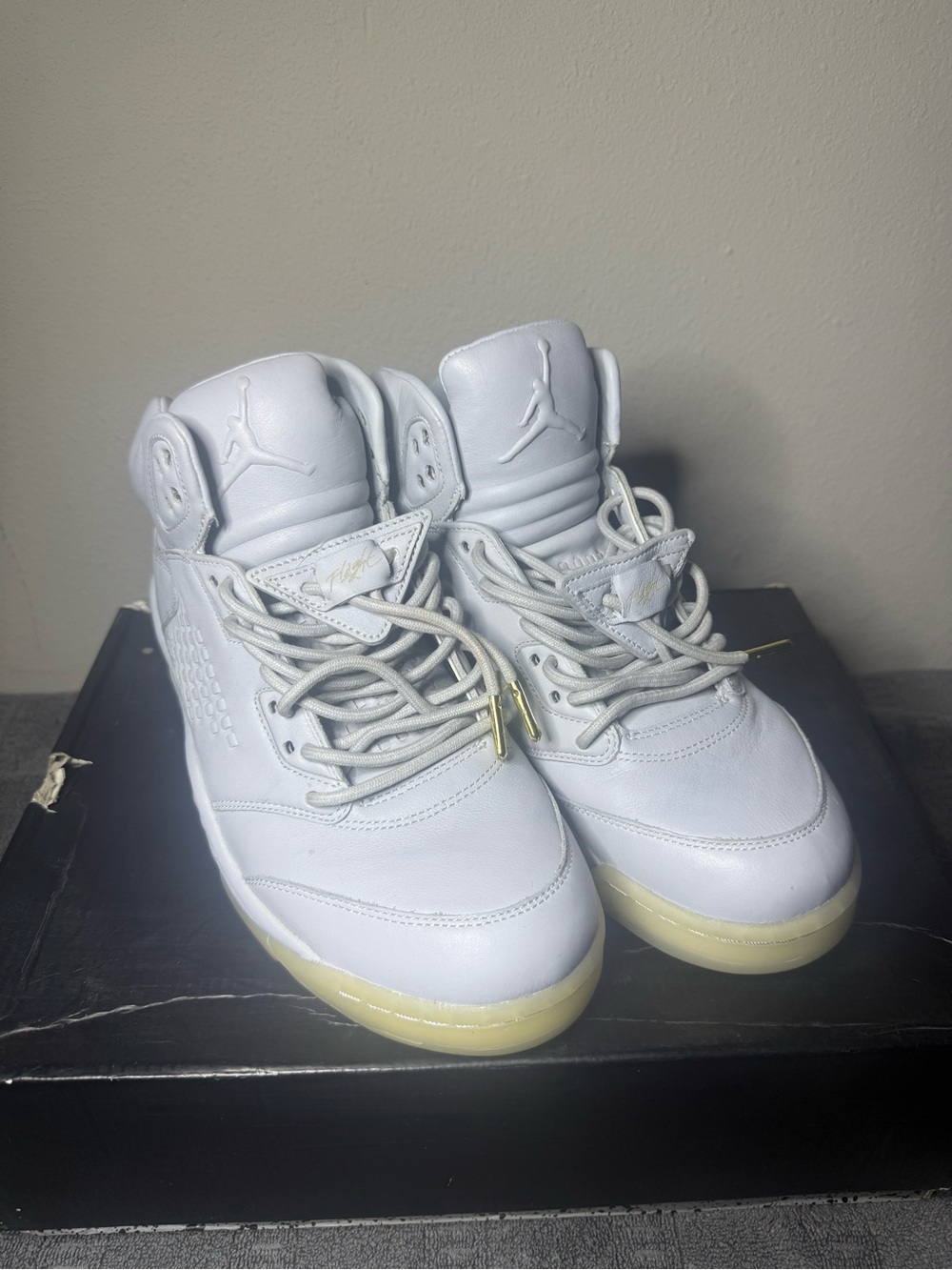 Air Jordan 5 Retro Premium Platinum 🔥